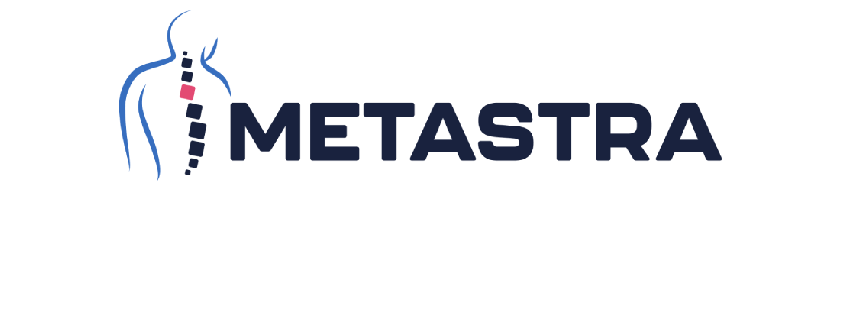 Logo progetto METASTRA