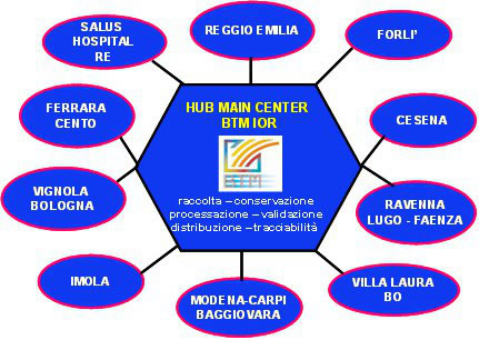 Organizzazione a rete
