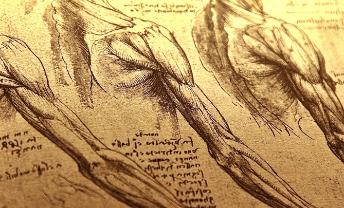 Prima riproduzione a stampa dei disegni anatomici di Leonardo da Vinci