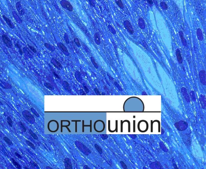 OrthoUnion (immagine)