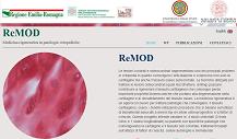 Home page of the ReMOD website