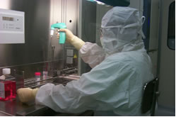 camera sterile camera sterile