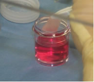 camera sterile camera sterile