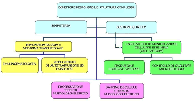Organigramma struttura complessa Organigramma struttura complessa