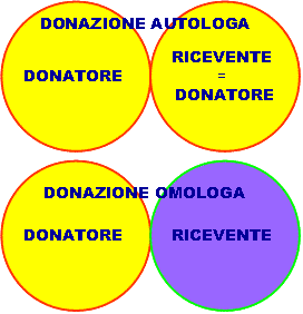 sintesi donazione autologa sintesi donazione autologa