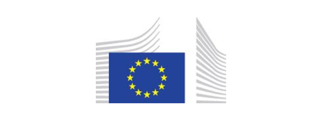 Immagine bandiera UE - progetto VAGABOND