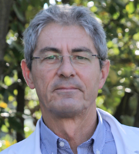 Photo of Alberto Bavelloni, PhD
