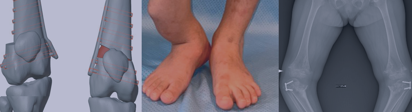 Immagine locandina corso (particolare)