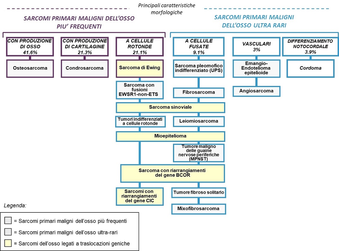 Classificazione diagnostica dei tumori ossei