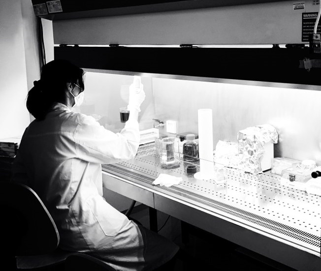 Attività di ricerca presso la SC Scienze e tecnologie biomediche