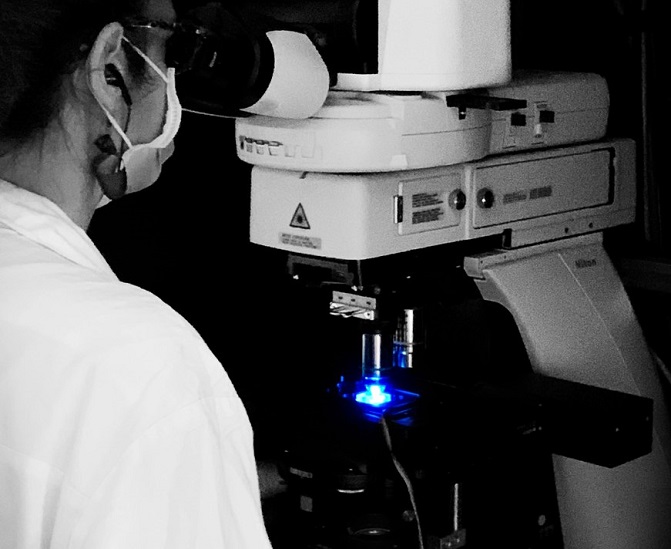 Attività di ricerca presso la SC Scienze e tecnologie biomediche