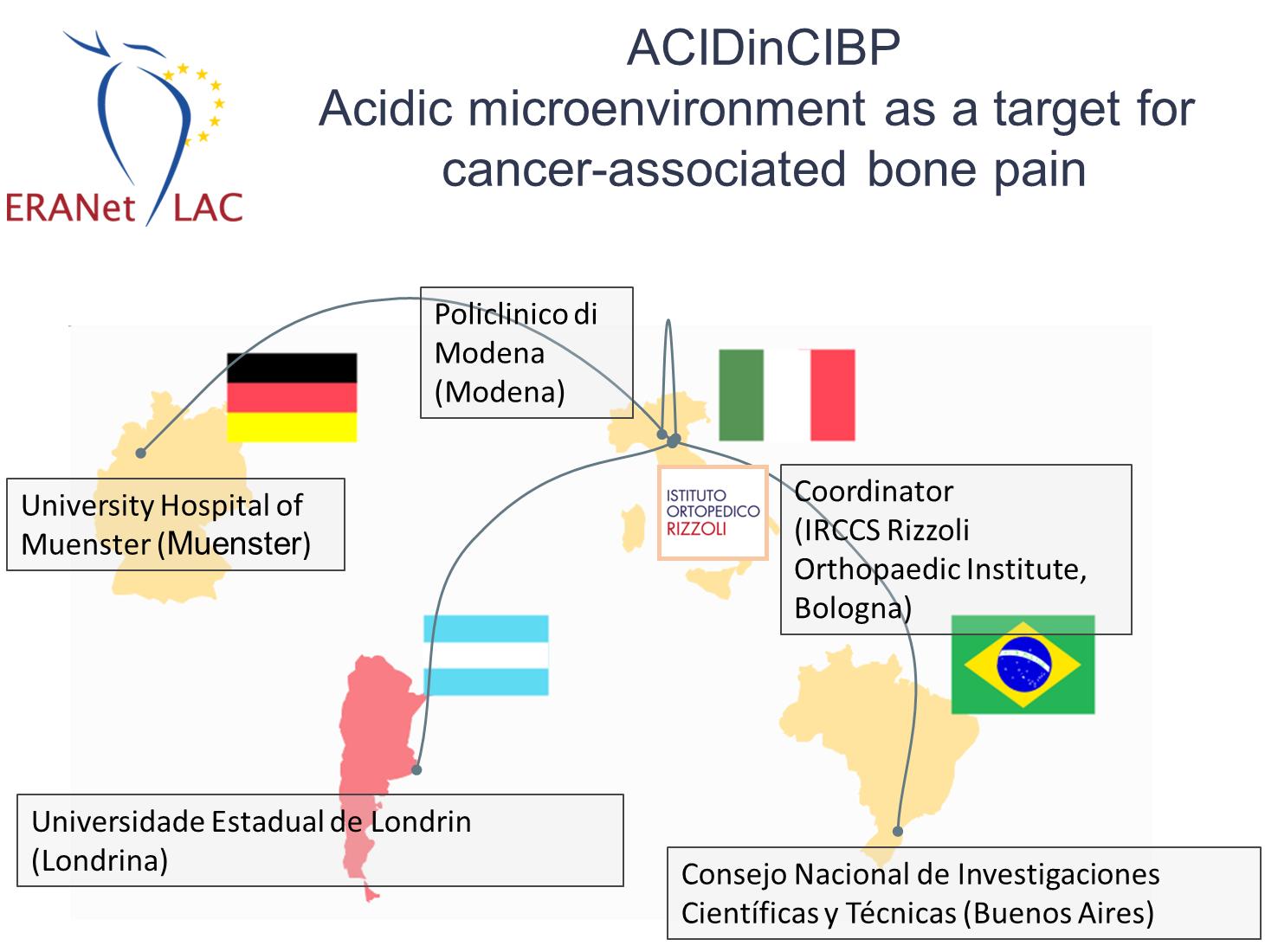ACIDinCIBP Acidic microenvironment as a target for cancer-associated bone pain