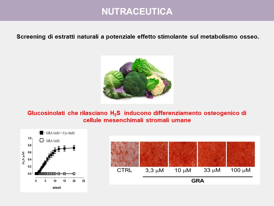 Figura 6: Screening di molecole nutraceutiche con potenziale attività sul metabolismo osseo