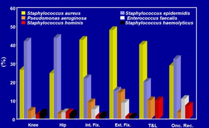 Prevalence of the first six etiologic agents in the different implant types Prevalence of the first six etiologic agents in the different implant types