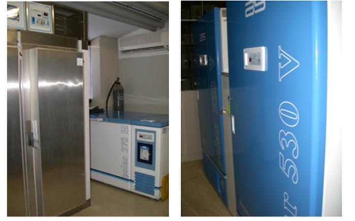 The Laboratory’s Biobank stores over 2.700 bacterial strains responsabile for peri-prosthetic infections The Laboratory’s Biobank stores over 2.700 bacterial strains responsabile for peri-prosthetic infections