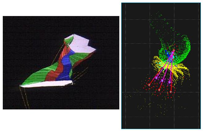 Fig. 1 – Modello 3D di legamento crociato anteriore a fibre elastiche e schematizzazione del movimento di flesso estensione del ginocchio Fig. 1 – Modello 3D di legamento crociato anteriore a fibre elastiche e schematizzazione del movimento di flesso estensione del ginocchio