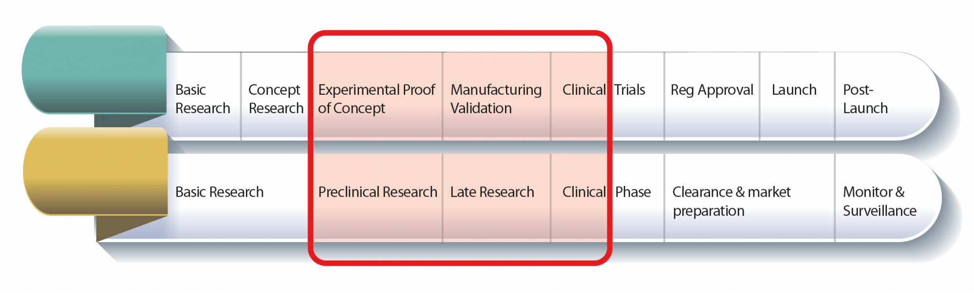 Immagine: l'attività del Laboratorio si situa tra la ricerca preclinica e clinica